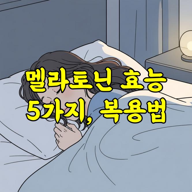 멜라토닌 효능 5가지와 부작용 없는 올바른 복용법 가이드