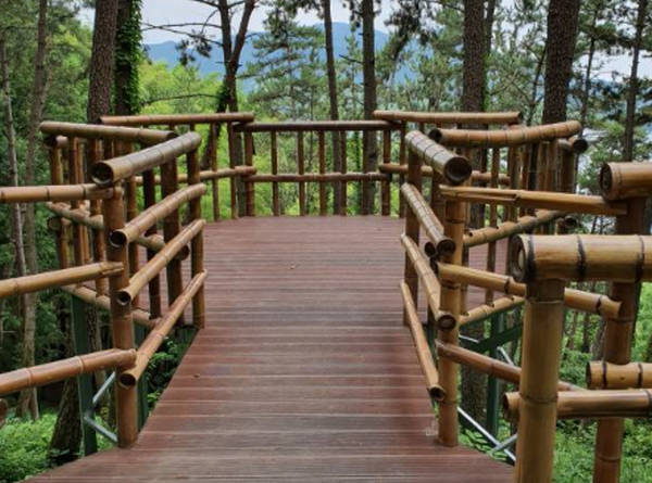 거제 맹종죽테마공원