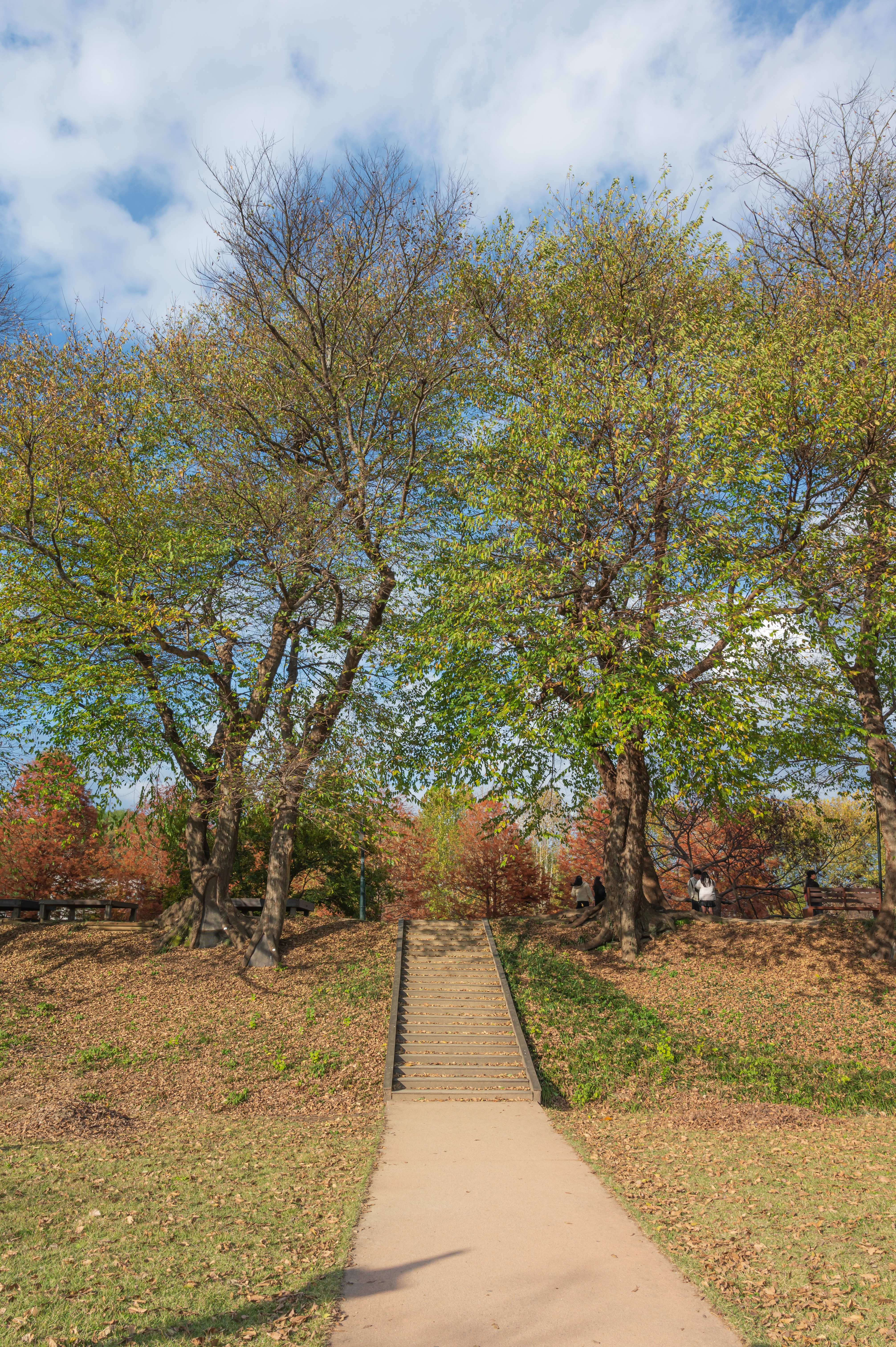 ๋ด์ ๊ด๋ฐฉ์ ๋ฆผ