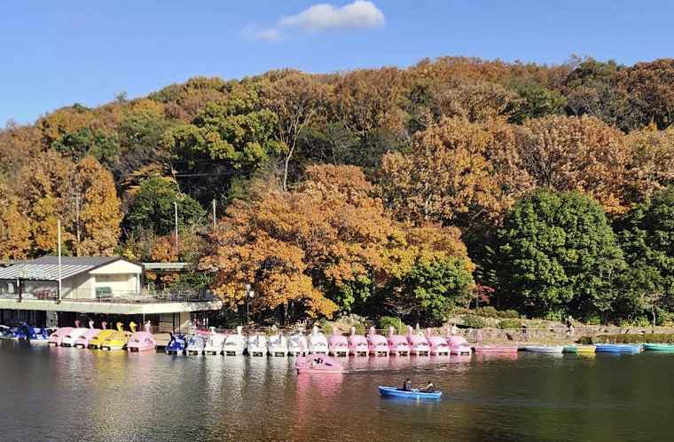 나고야-10-월-날씨