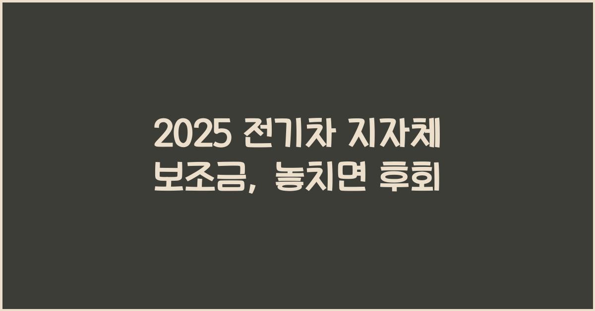 2025 전기차 지자체 보조금