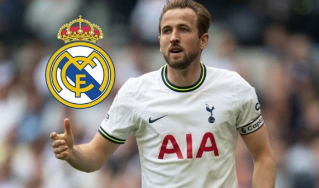 셀틱 호주 출신 포스테코글루 토트넘 감독 오피셜 손흥민 심각 케인 레알 이적 전술