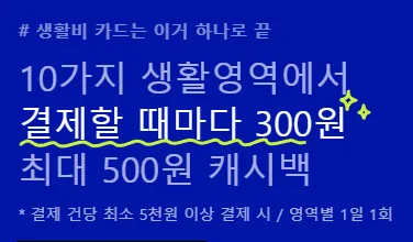 10개 생활영역에서 일 1회씩 캐시백