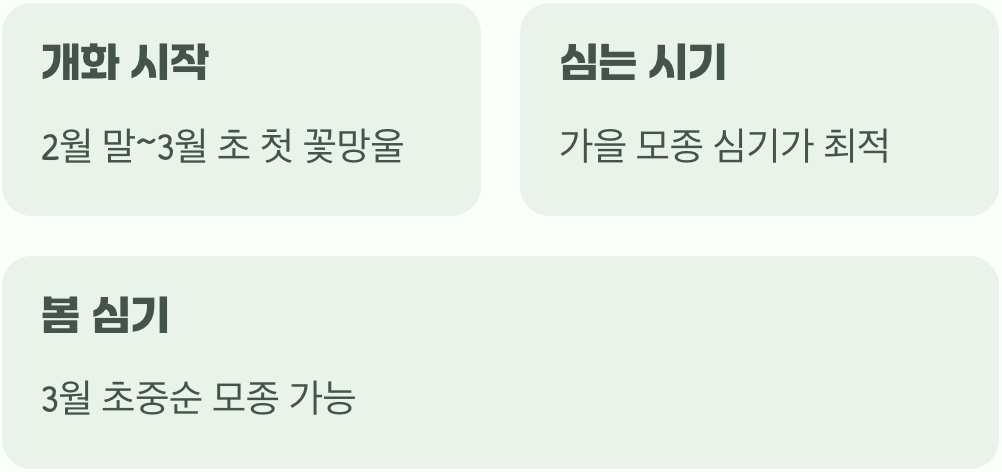 겨울의 끝을 알리는 작은 용사
