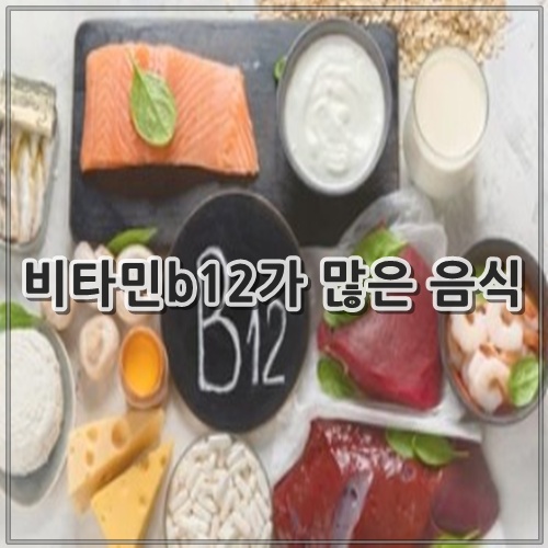 비타민b12가 많은 음식 10가지