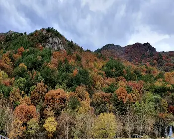 황매산 오토캠핑장_12