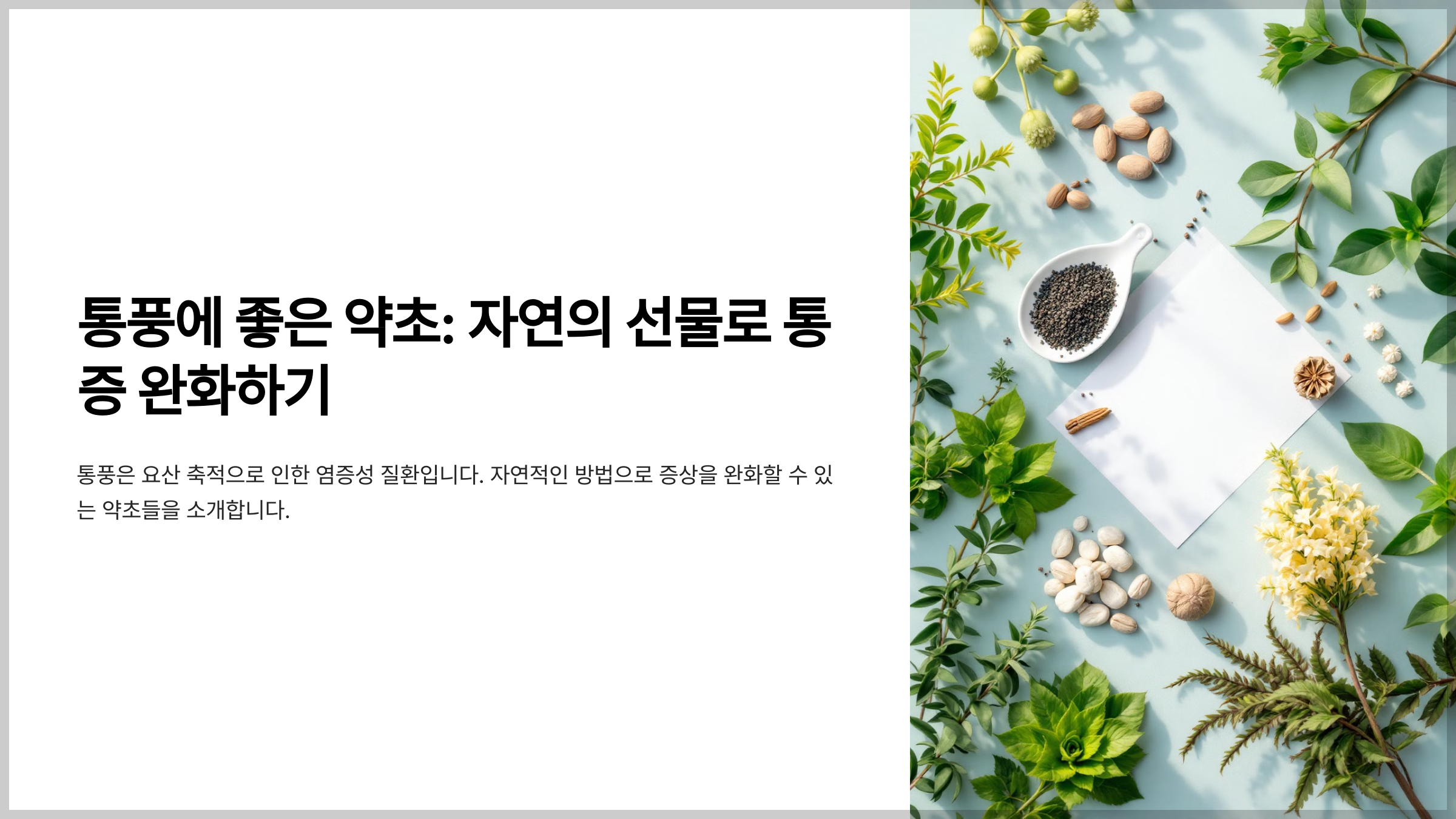 통풍에 좋은 약초 추천