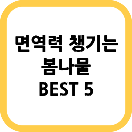 면역력에 좋은 봄나물 종류