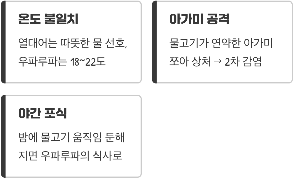 대부분의 물고기가 최악의 룸메이트인 이유