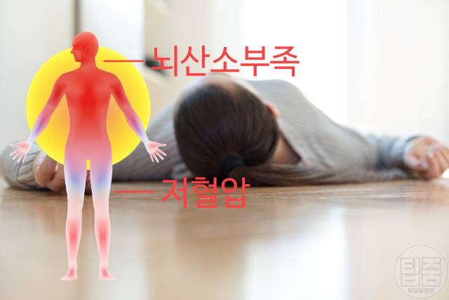 열사병 증상 일사병 열사병 차이