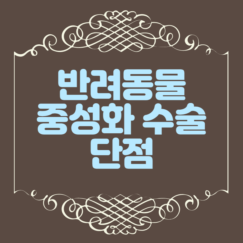 중성화수술