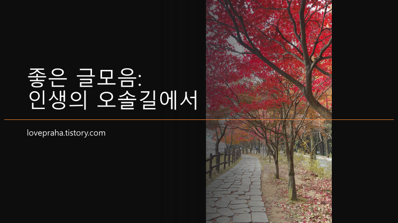 좋은 글모음 인생의 오솔길에서