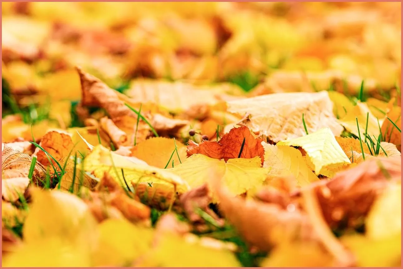 새마을금고 예금금리