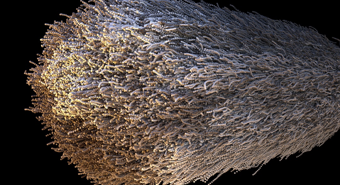 Collagen