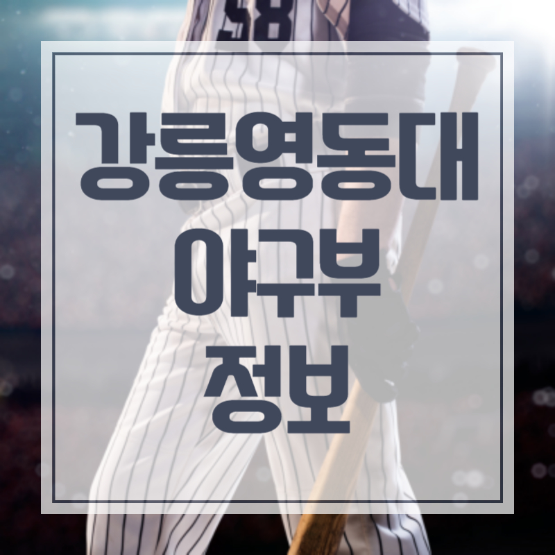 강릉영동대 야구부 정보