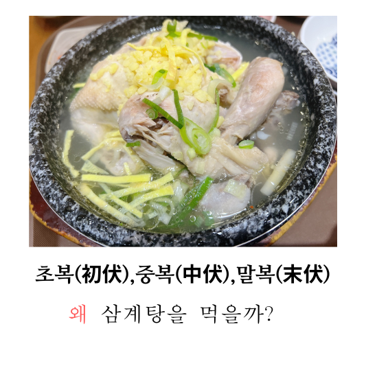 삼계탕