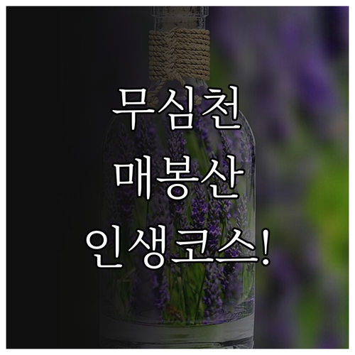 청주 서원구 봄맞이 산책 코스 무심천..
