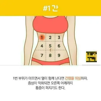 배를 콕콕 찌르는 통증의 8가지 원인 하는법 알아보기로 정리_12