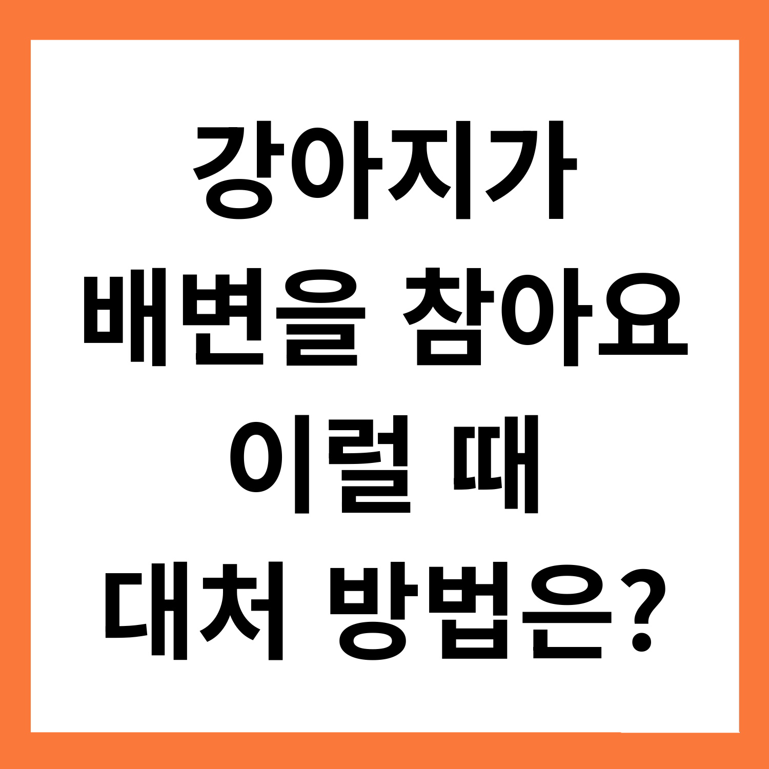 강아지가 배변을 참아요… 이럴 땐 이렇게 대처하세요