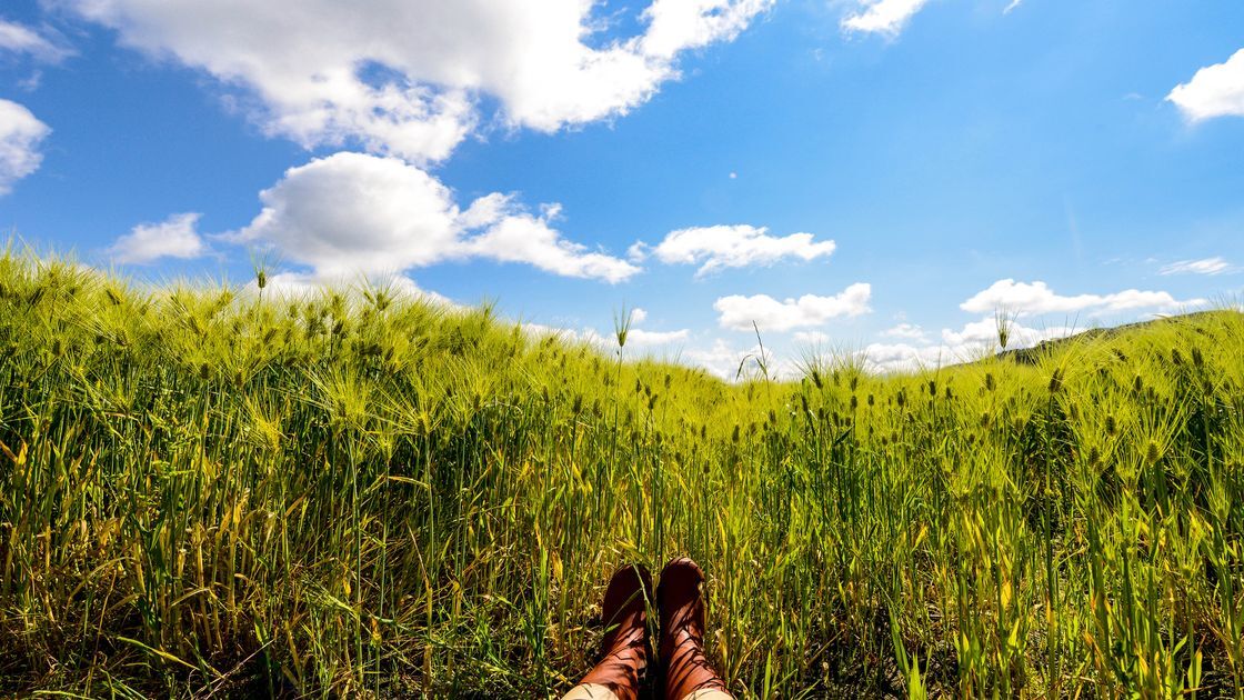 자연을-보며-휴식