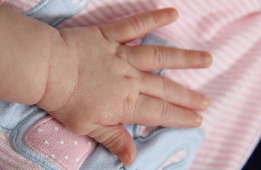 아기 손