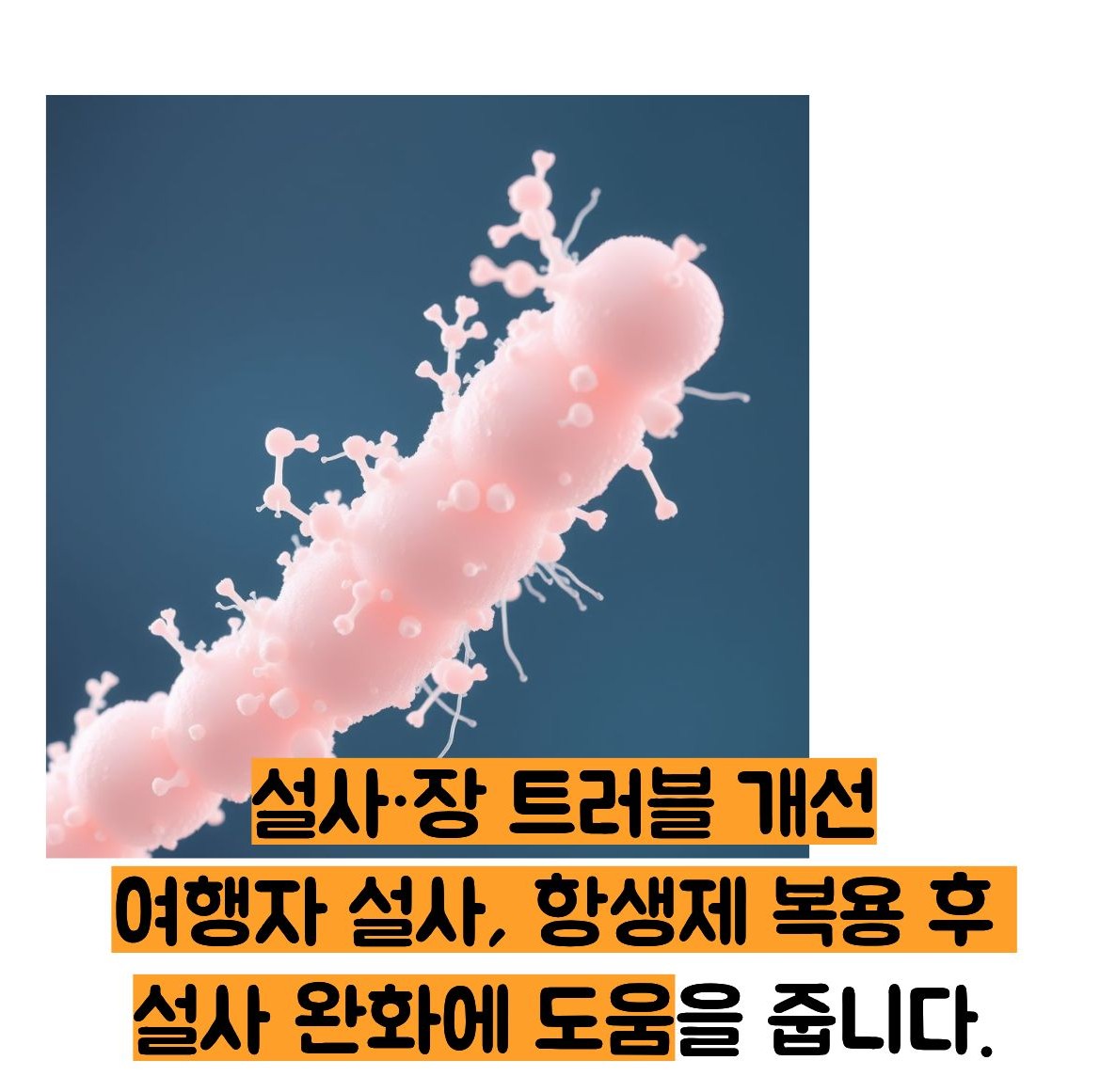 라시도필 캡슐 효능