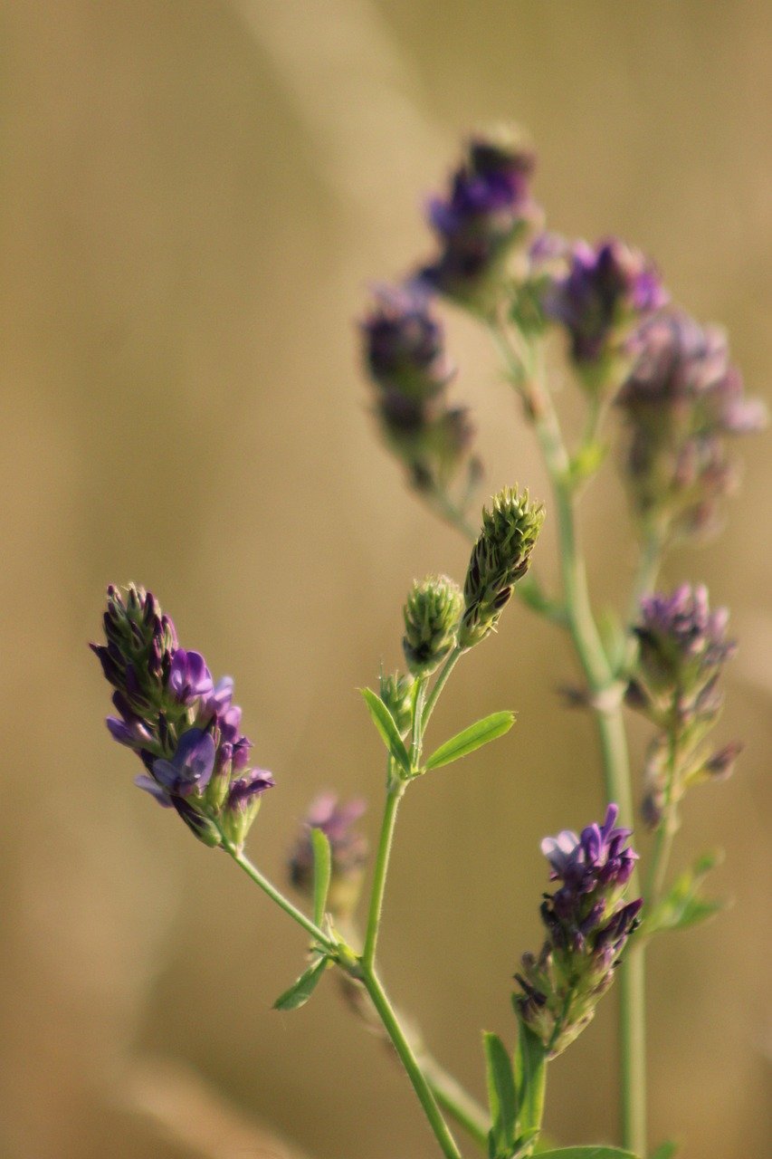 일용직 실업급여 자격