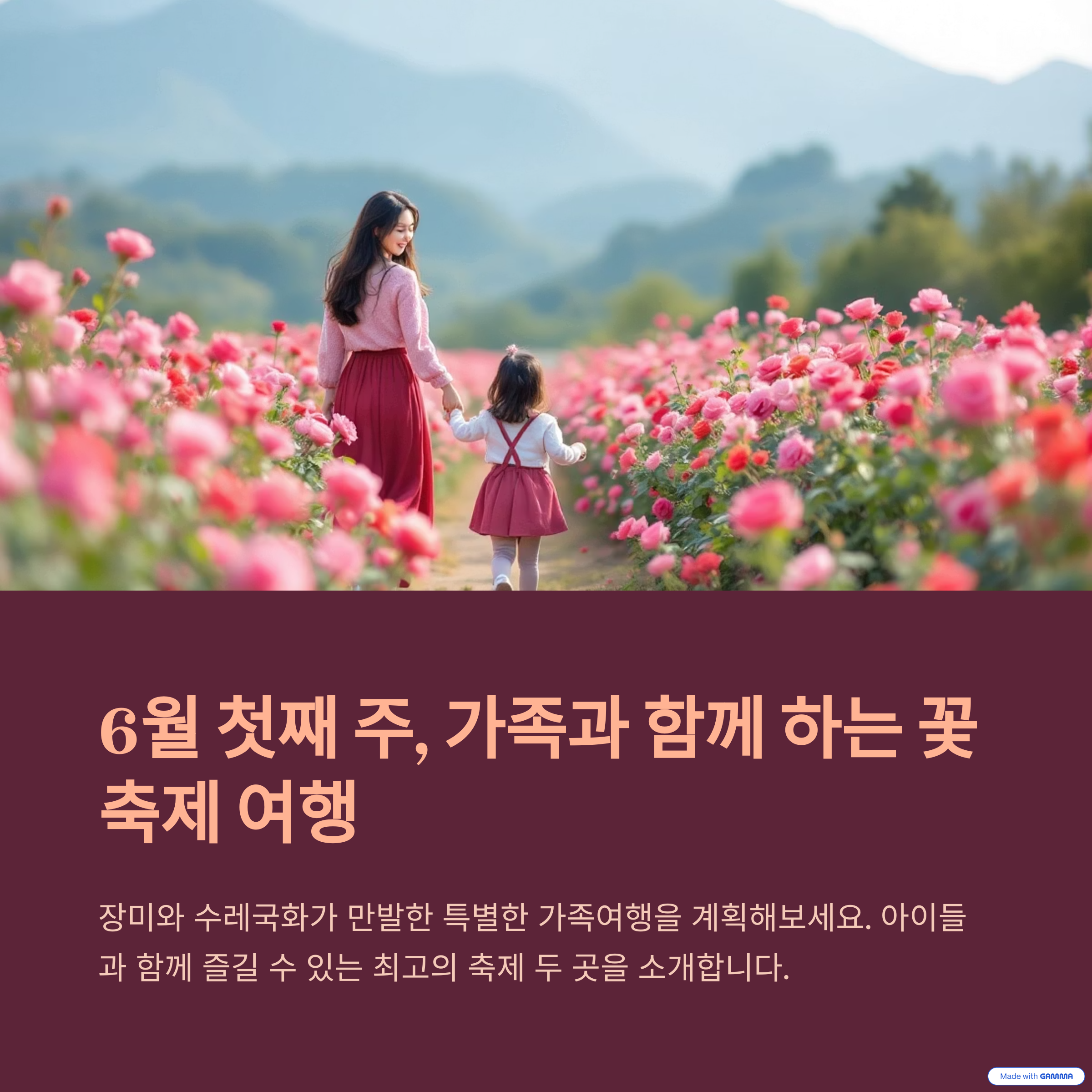 곡성 장미축제부터 예산 수레국화까지