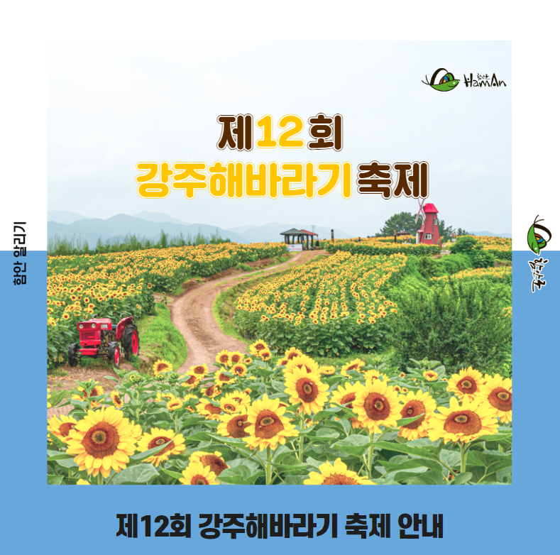해바라기 축제