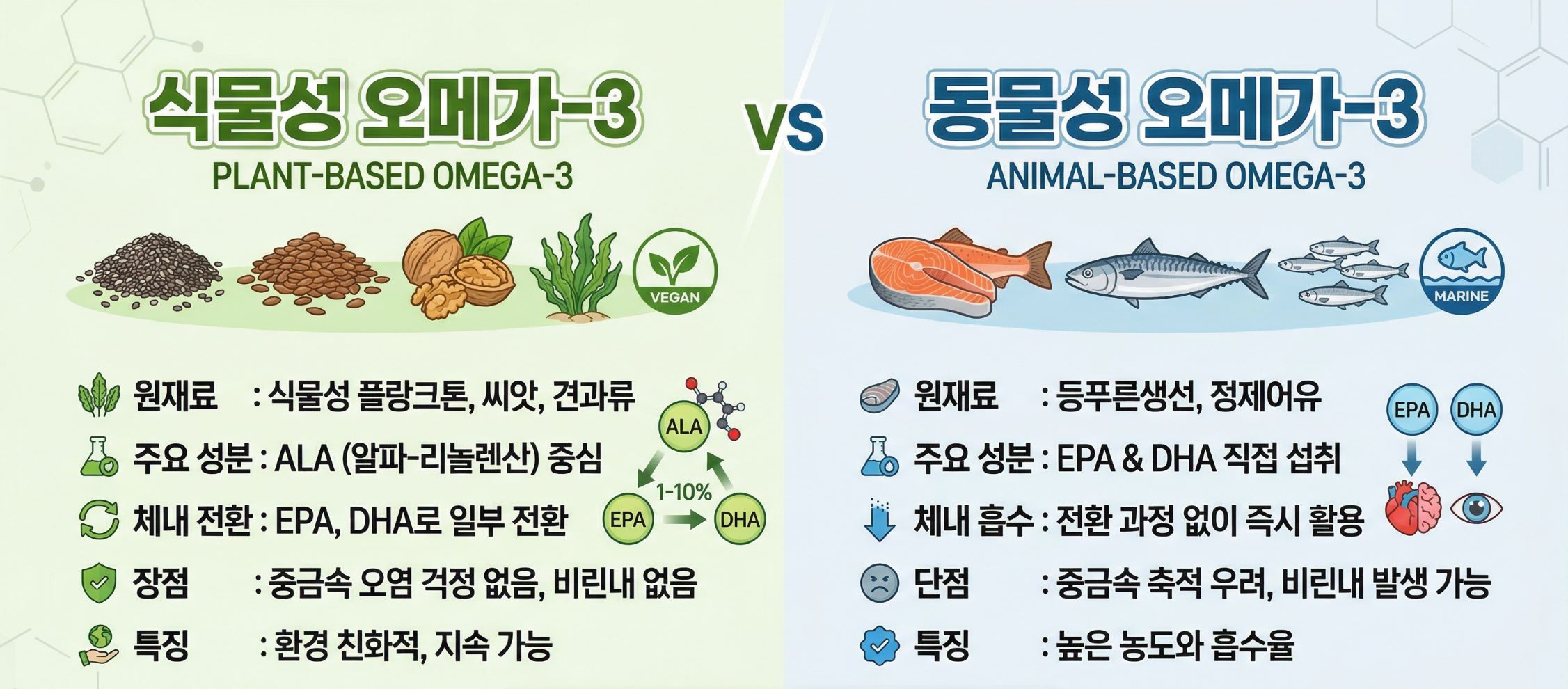 식물성 오메가3와 동물성 오메가3의 차이를 이미지와 표로 구성