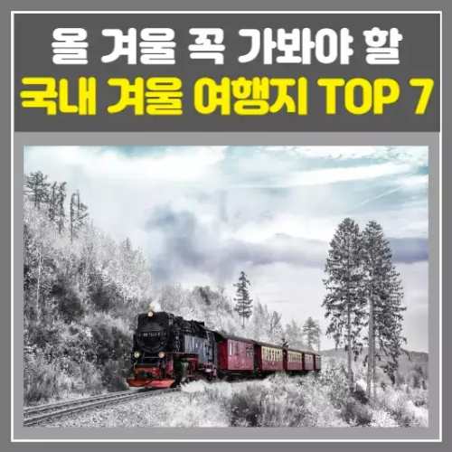 올 겨울 꼭 가봐야 할 국내 겨울 여행지 TOP 7