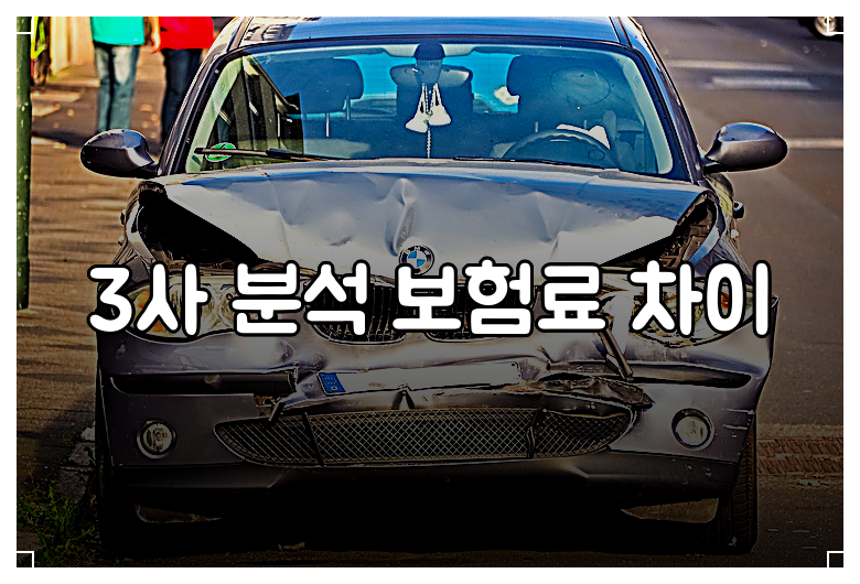 3사 분석 보험료 차이