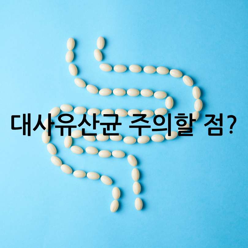 대사유산균 효능과 제품 추천