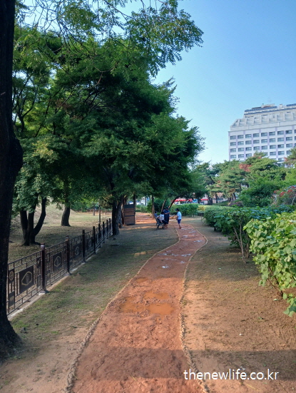 황토길 맨발 걷기를 하며 자세 교정과 하체 근력 강화를 체험하는 사람들