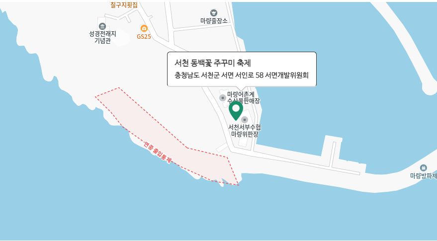 2025 서천 동백꽃, 쭈꾸미 축제 3분 가이드