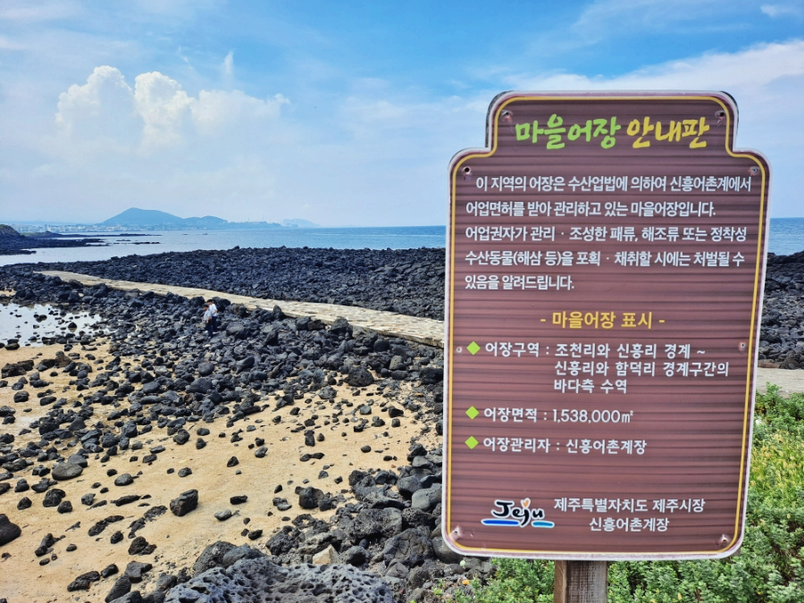 제주 여행 관광