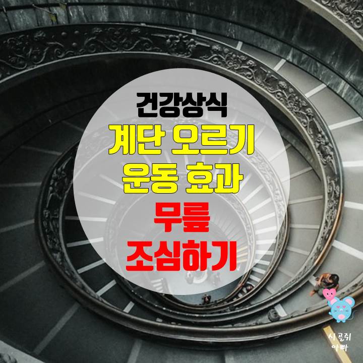 계단운동효과