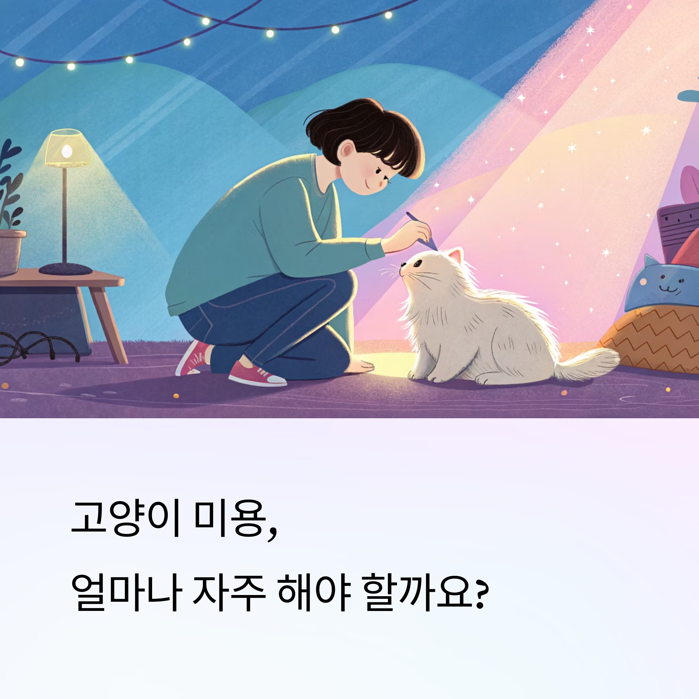 고양이 미용 주기와 관리 팁 한눈에