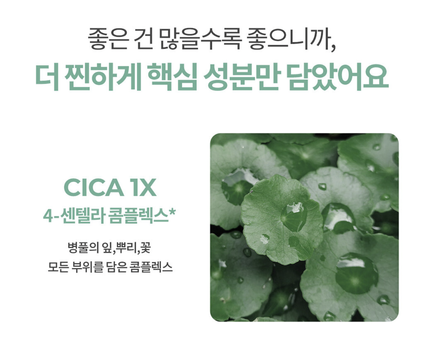 올리브영 가을 정기 세일