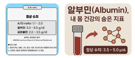 알부민-수치