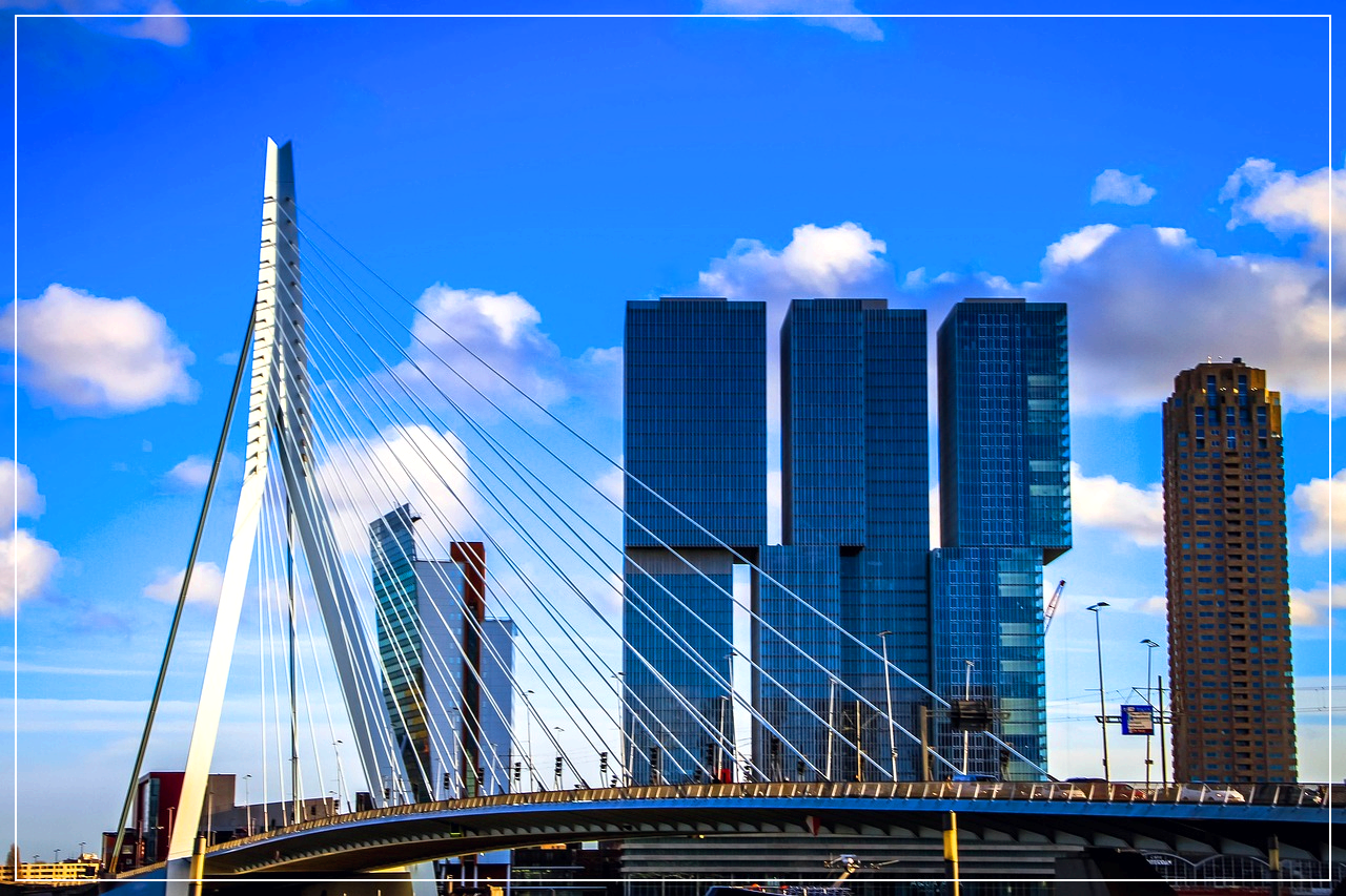 로테르담의 예술적 건축물