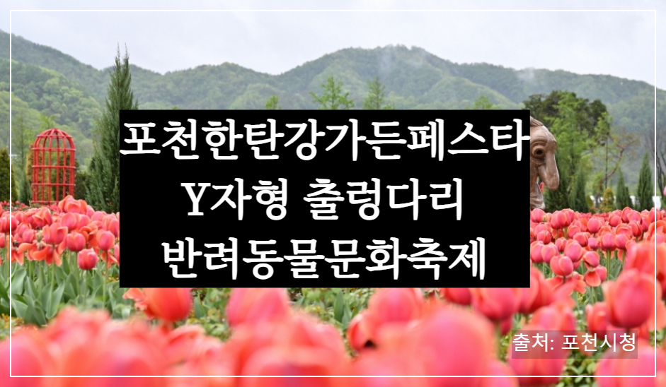 포천 한탄강 가든 페스타와 Y자형 출렁다리, 반려 동물 문화 축제까지 총정리