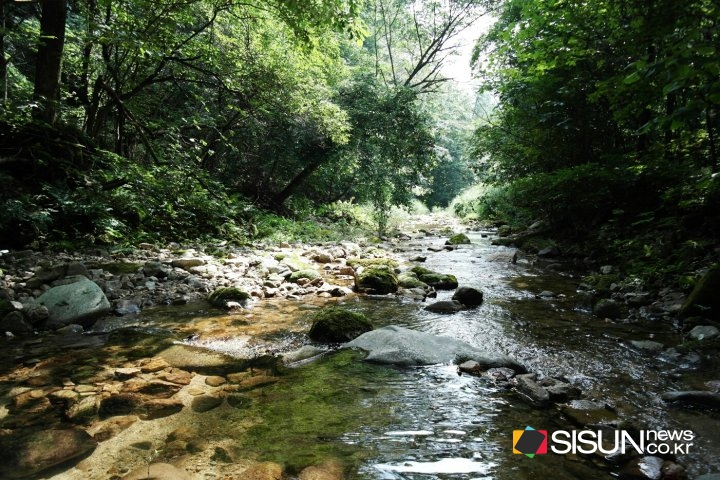 청태산 자연휴양림