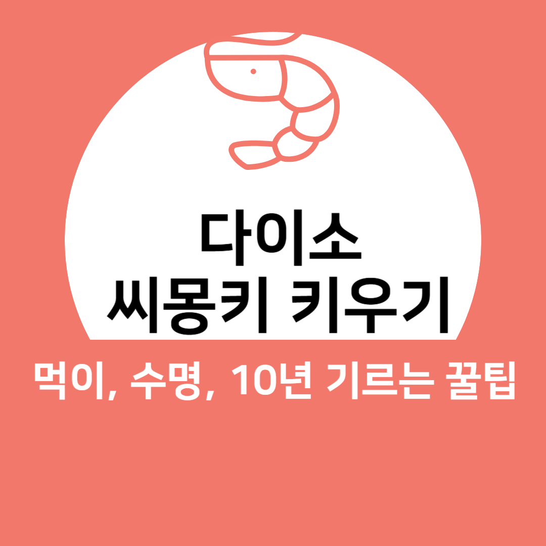 다이소 씨몽키 키우는 방법 - 먹이, 수명, 10년 기르는 법