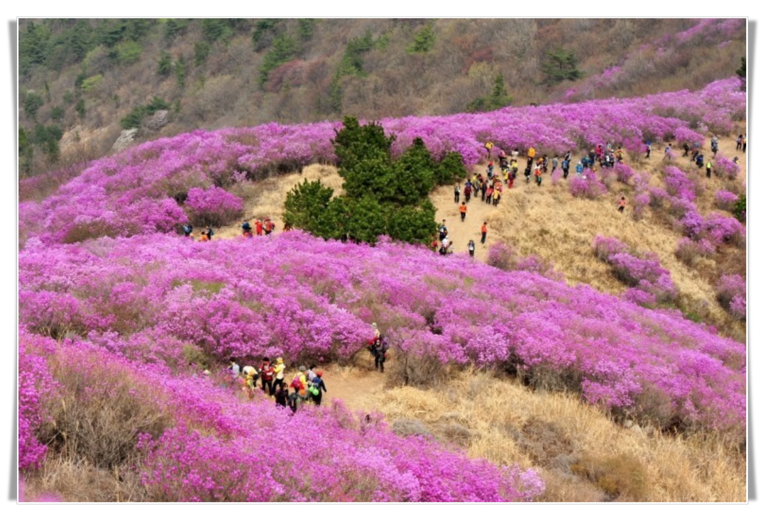 영취산-가마봉