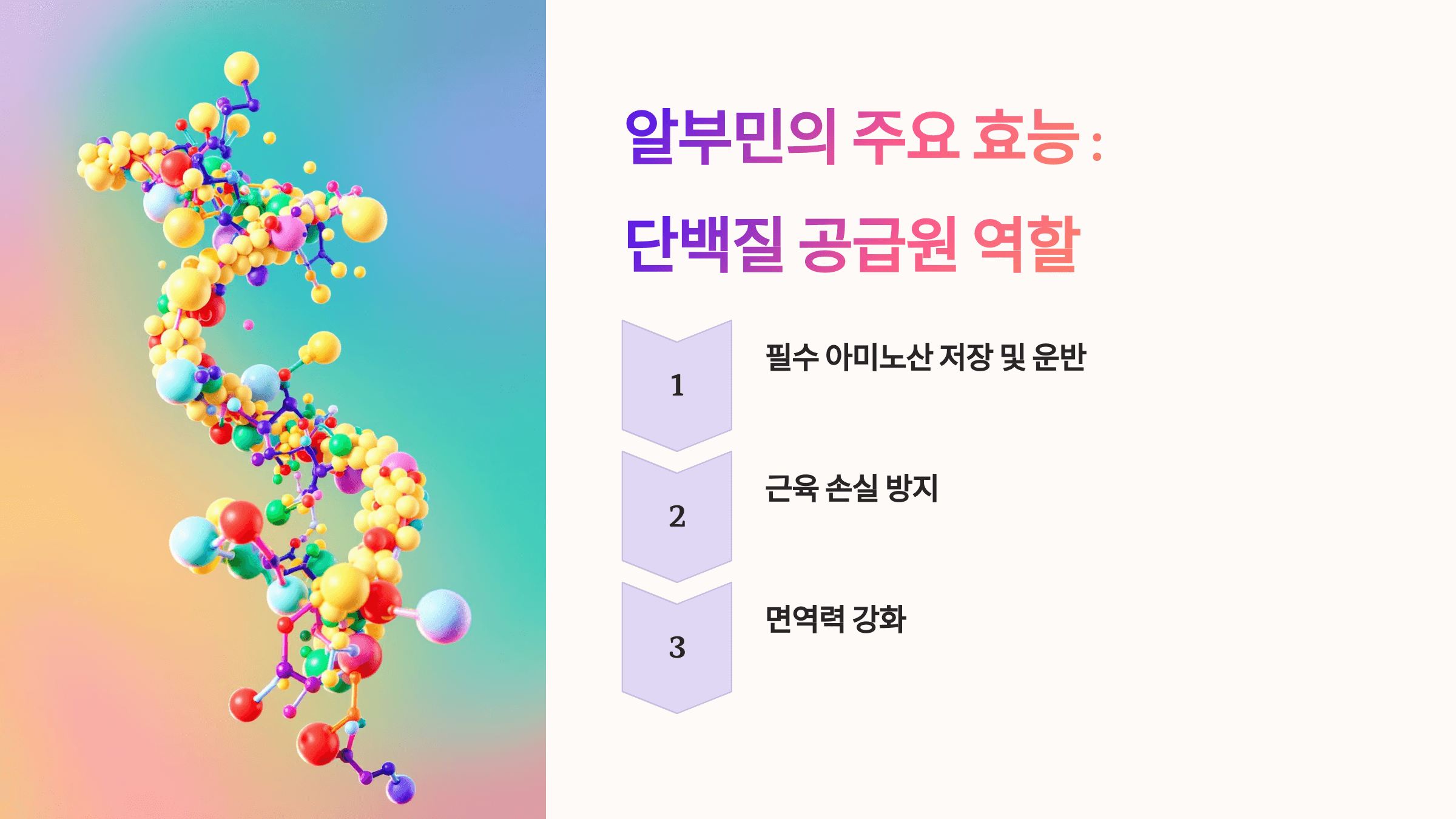 알부민과 관련된 사진입니다.