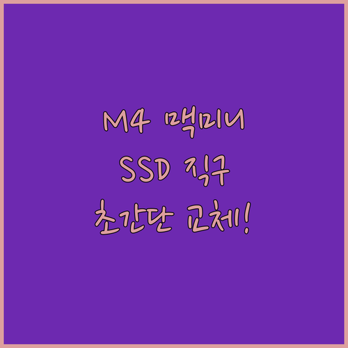 가성비 맥미니 M4를 위한 전용 SS..