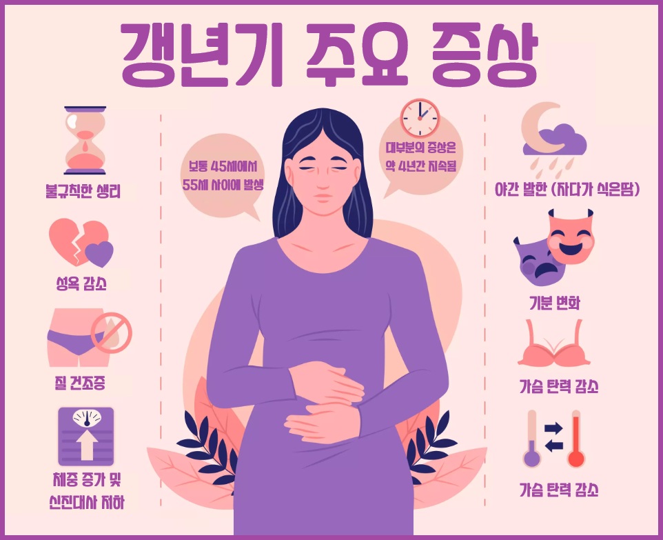 갱년기 주요 증상