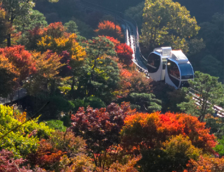 화담숲 당일예약 꿀팁｜당일치기로 다녀온 가을 단풍 명소