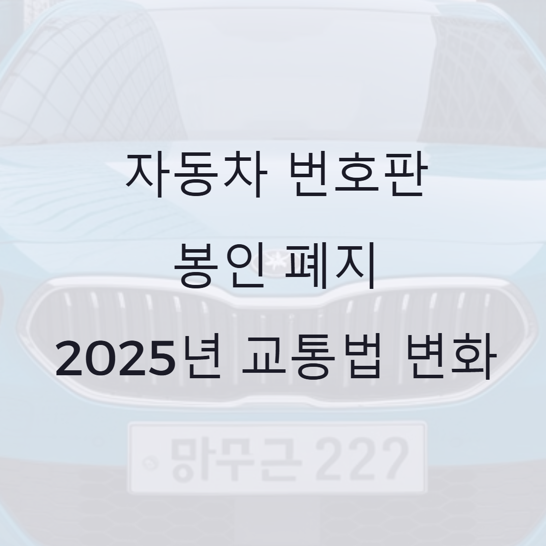 번호판 봉인 폐지